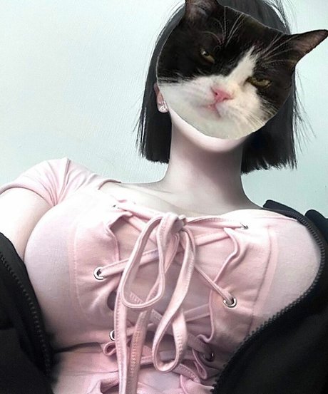 latulip 0 freie hd archiv