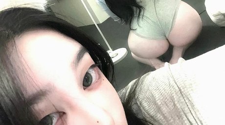 latulip 0 beste hd bild