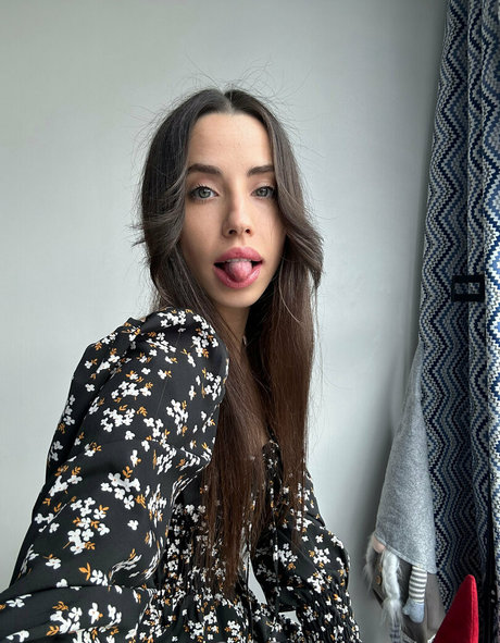 miaowen kunst freie bilder