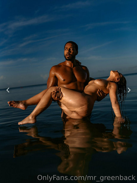 mr greenback perfekte schöne galerien