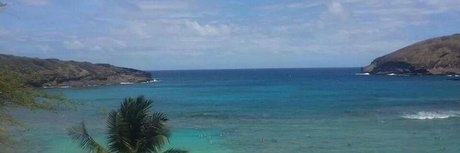 Phoenix Reign Profilbild