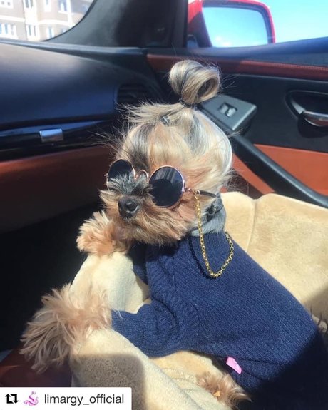 Black Marilyn Monroe kostenlose hd fotos