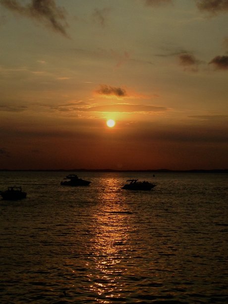 Murilo Marques perfekte archiv