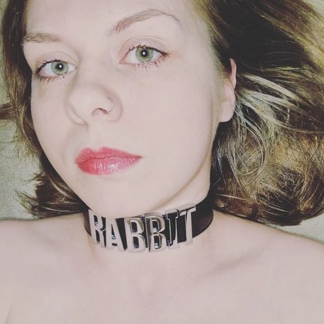 TheWetRabbit hübsche akt archiv