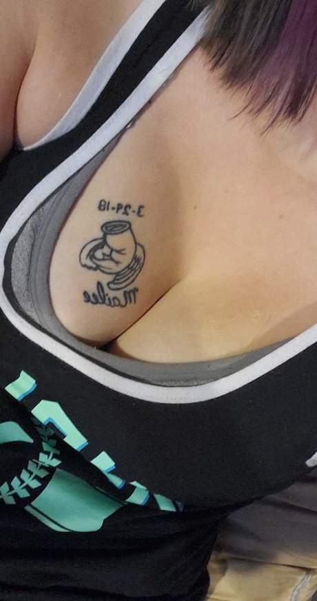 Pixie Kitten freie foto