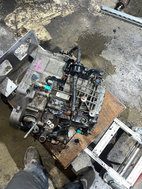 pawg onlyfans heiße hd bild