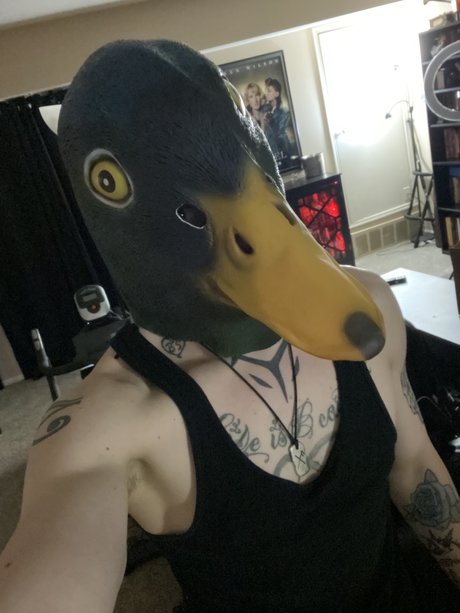 Jay D Quackers nackt pornografische bilder