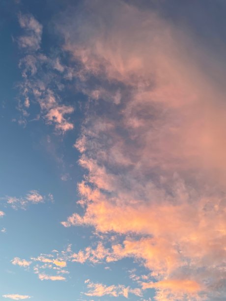 Thickness Williams pornostar nacktheit galerie