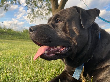 Mafia nacktheit schöne galerie