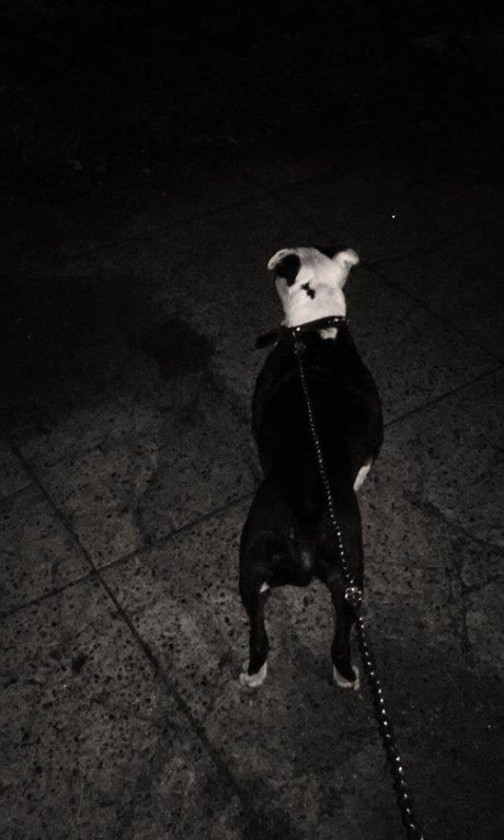 Maskedleo sexy nackten fotos