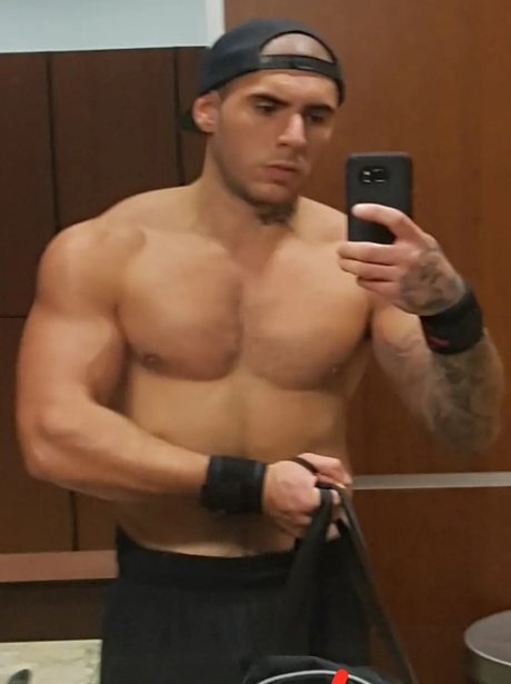 Stiffy model kostenlose archiv