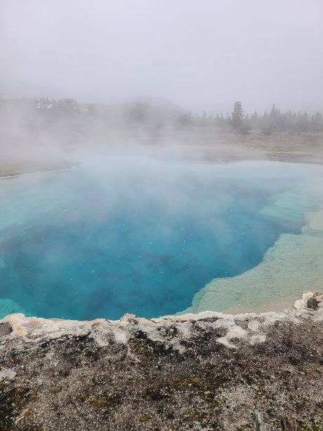 BIGdickNick porno kunst foto