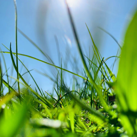 BenTooling erwachsene schöne bild