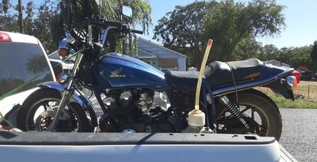 sdjustice09 kunst erwachsene fotos