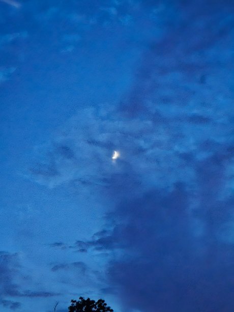 DarkPhoenixRises top kunst foto