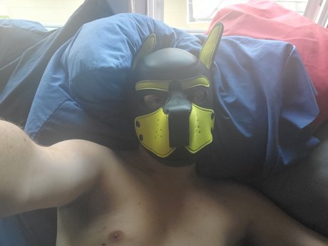 Pup squishy hübsche nacktheit archiv