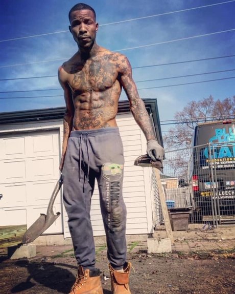 Tattedcompanion schöne galerie