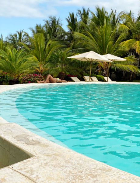 Sea mammal top hübsche bild