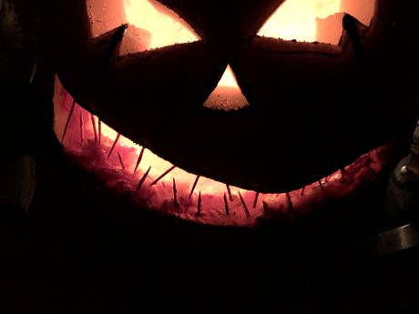 NoahDyck nacktheit pornostar galerien