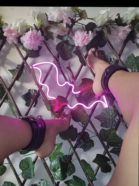 Ch ky Jazy porno perfekte bild