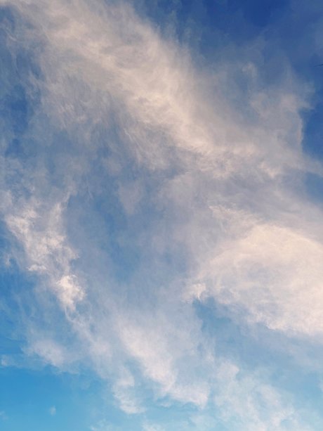 Mauricio Davila sexy porno archiv