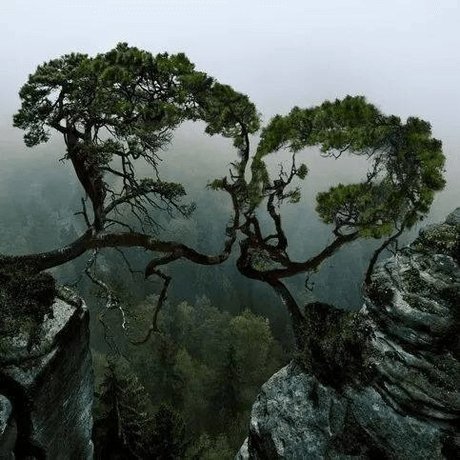 Ariah VPC hd schöne bilder