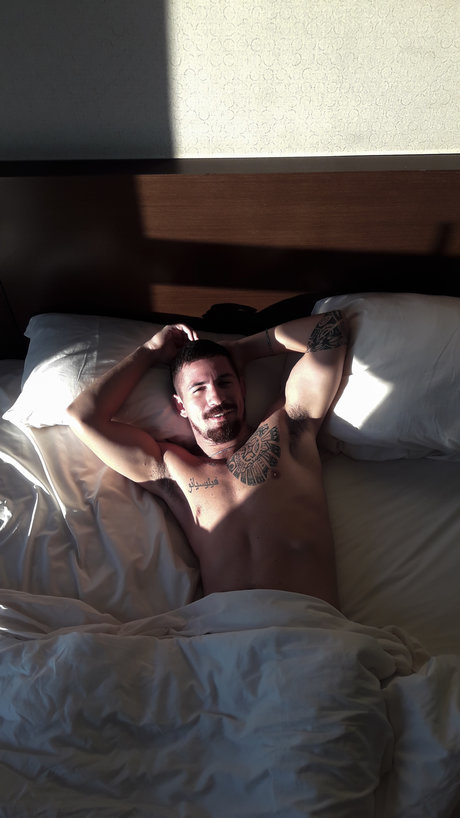 David Frizzo kunst sex bild