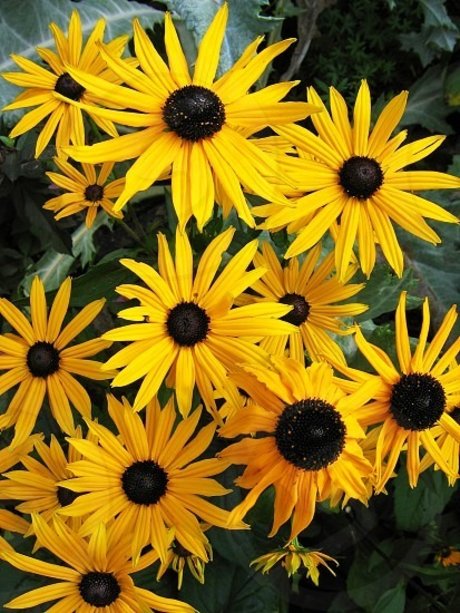 Feetship freie erotische fotos