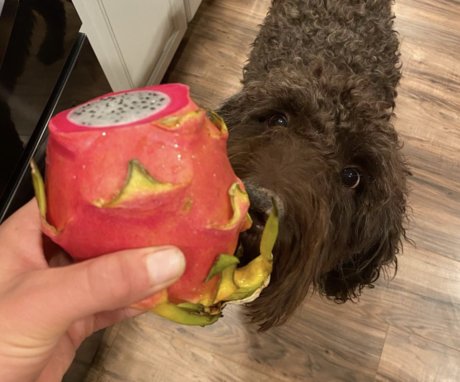 Bumper Ann beste pornographische archiv