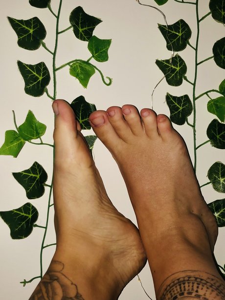 Footsie pie porno kunst foto