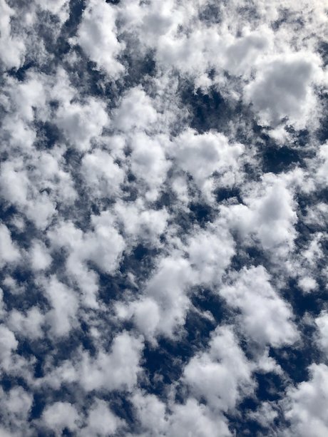 dddd 89 hd nackte foto