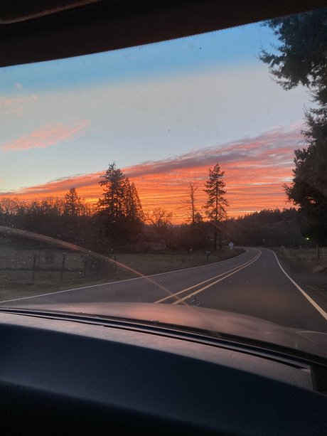 Fishie Fiend kostenlose nacktheit bild