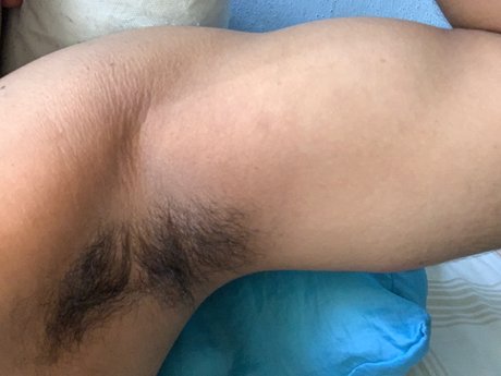 Noee schöne perfekte archiv