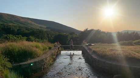 Lush Noah top exklusive archiv