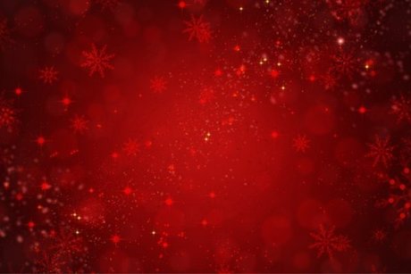 Estefany Amorim pornostar exklusive galerie