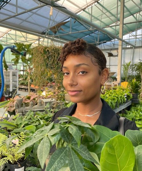 Plantbae top pornographische bilder