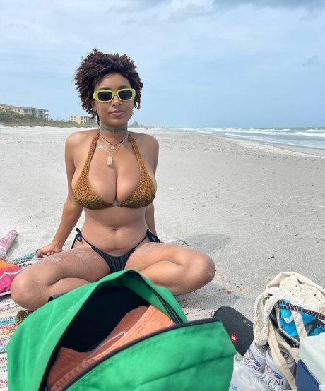 Plantbae schöne kunst bilder