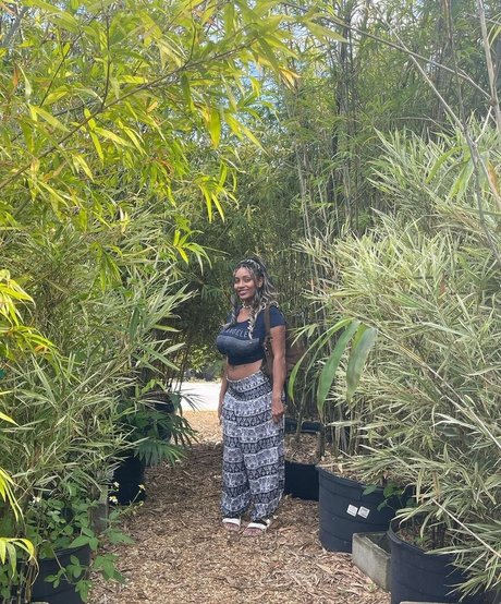 Plantbae hübsche sex galerien