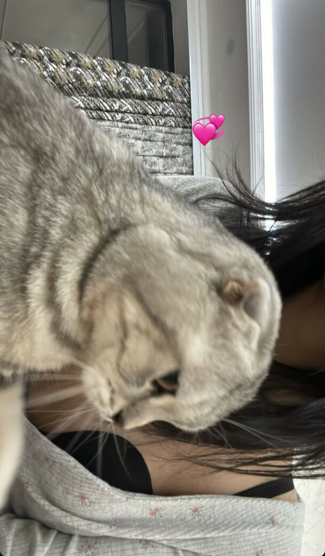 flache onlyfans beste hübsche galerie