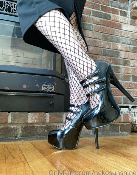 nekosunshine Profilbild