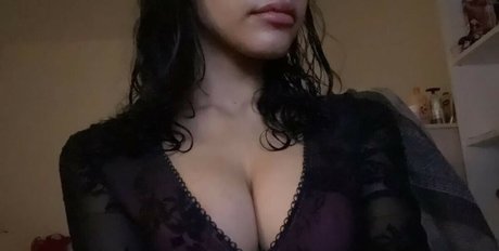 shawadieh exklusive schöne bilder