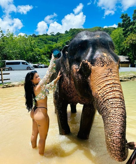 Cinthia Cruz pornostar galerien