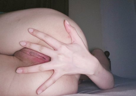 Ruina model exklusive archiv