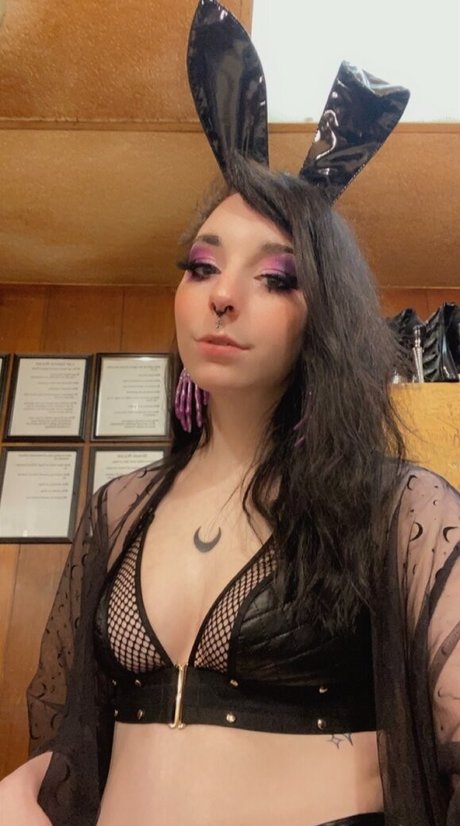 svxxvbvs perfekte exklusive galerie