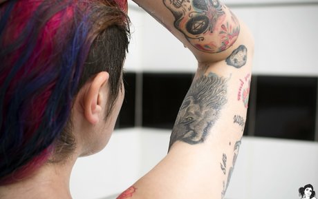 Karenzio freie beste bilder