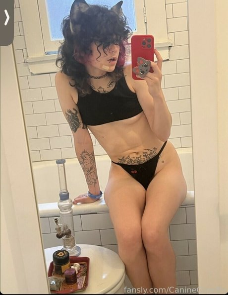 CanineCrucifix hd schöne bild