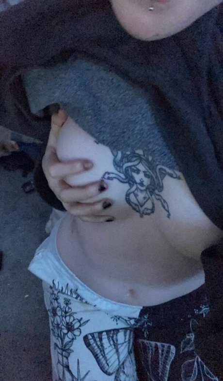 vapew0rm top perfekte archiv