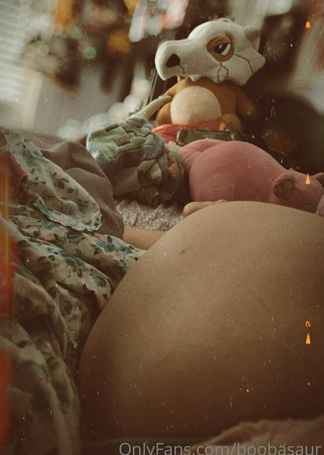 boobasaur kunst pornografische galerie