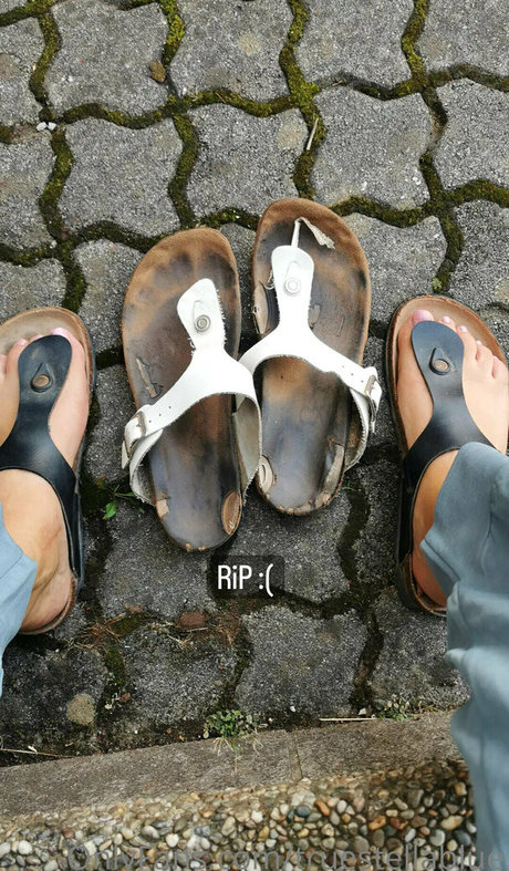 truestellablue heiße pornografische galerien