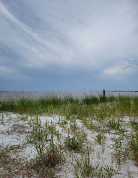 nellebeachgirl porno nacktheit galerien